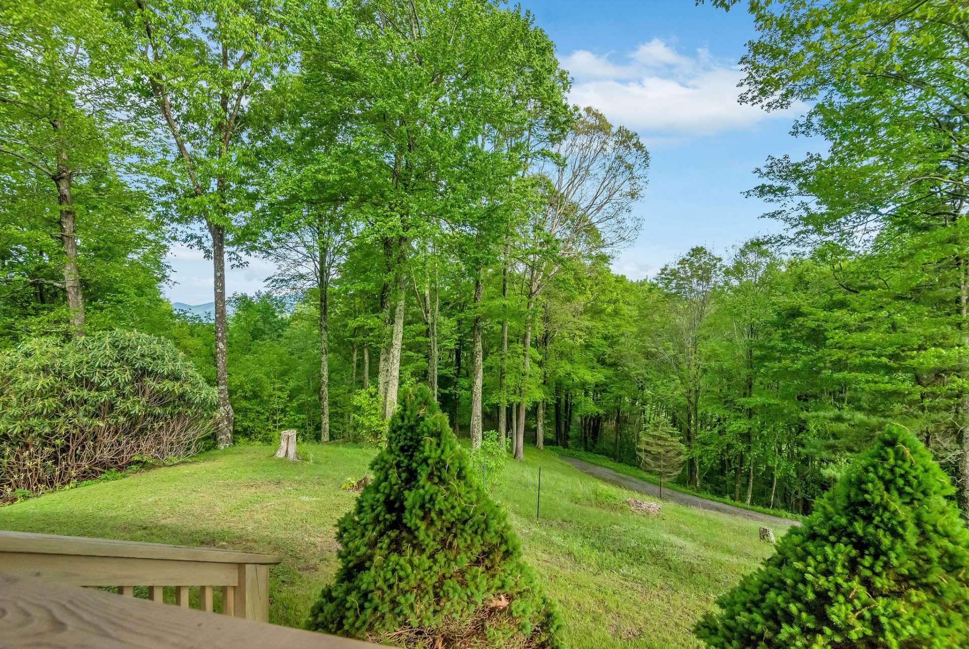 From the back porch, you can eagerly watch your guests arrive and greet them with excitement.